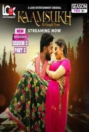 Kaam Sukh 2025 LookEnt S02E05T07 Web Series Download (2025)