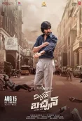 Mr Bachchan 2024 Hindi Dubbed Movie HDRip Download
